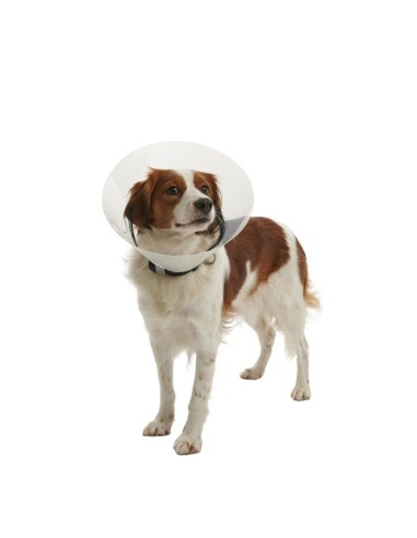 Collarin isabelino Buster Click