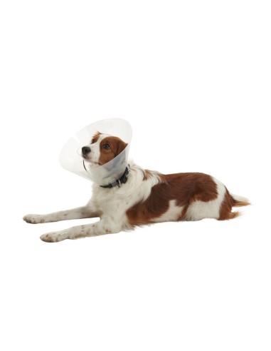 Collarin isabelino Buster Click