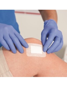 Apósito adhesivo Maipore