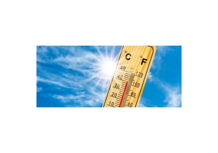 Como combatir la ola de calor Como combatir la ola de calor